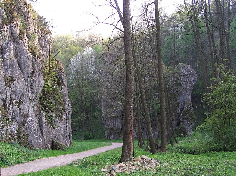 Rezerwat Dolina Mnikowska