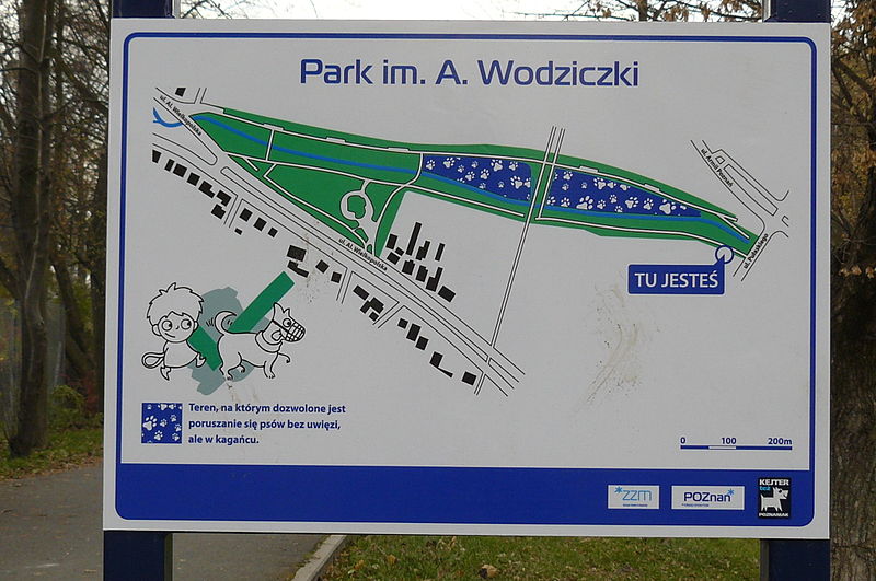 Park Wodziczki