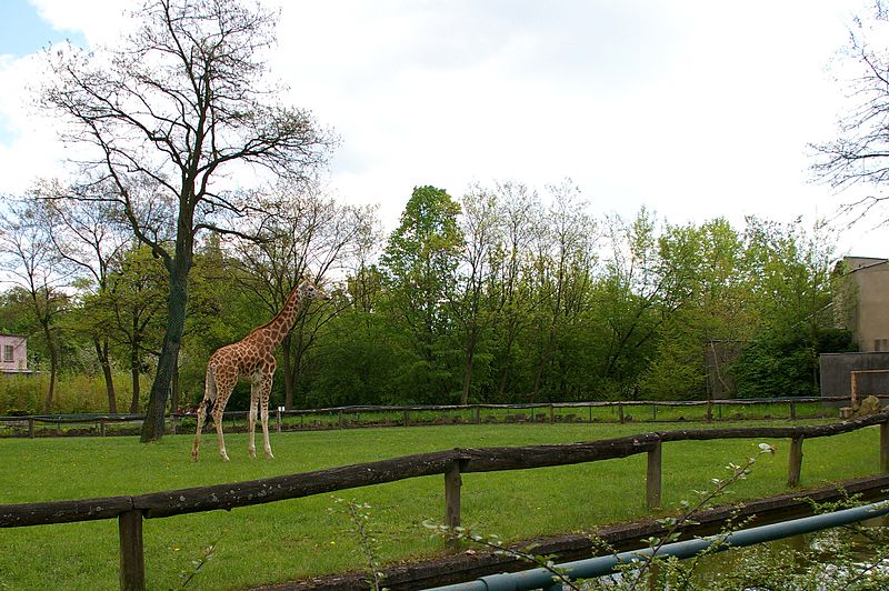 Ogród Zoologiczny w Łodzi