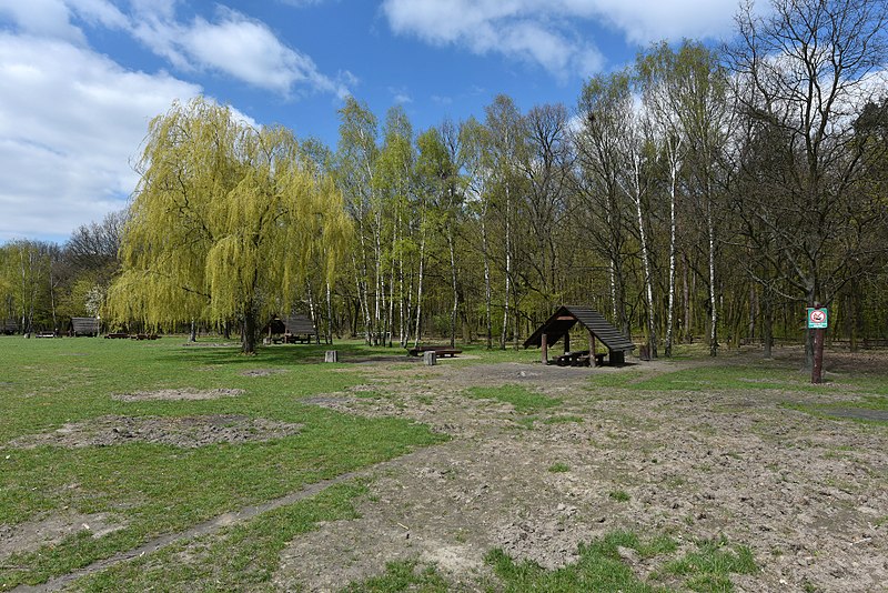 Kabaty-Wald