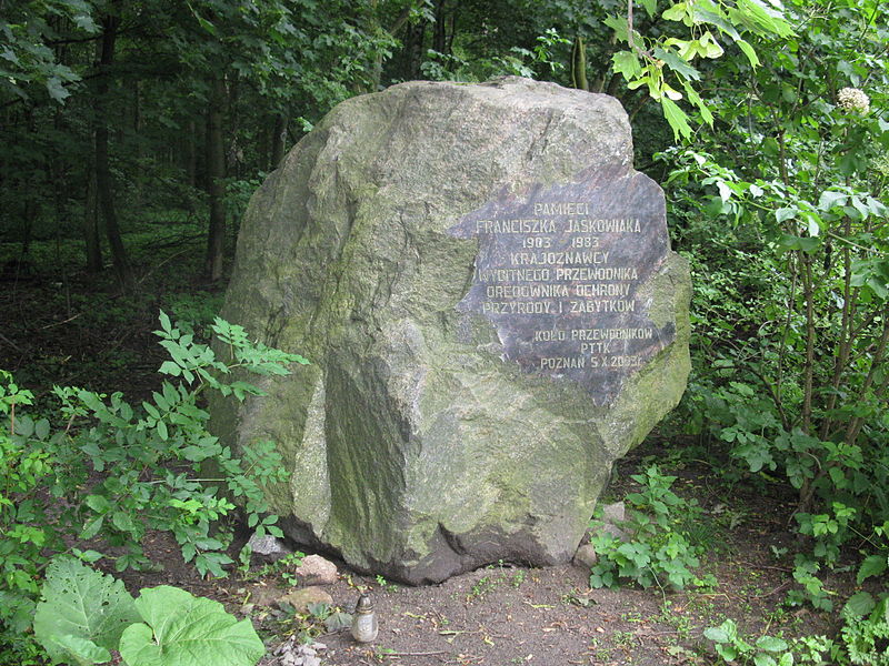 Réserve naturelle de la météorite de Morasko