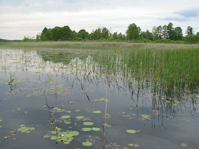 Liste des sites Ramsar en Pologne