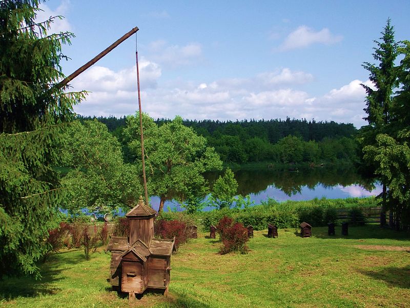 Parc national de Narew