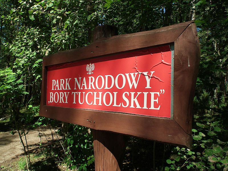Parque nacional Bory Tucholskie