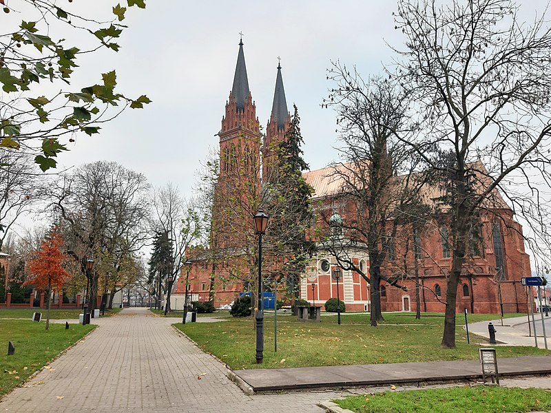 Cathédrale de l'Assomption de Włocławek