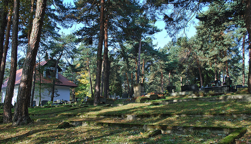Cmentarz parafialny Borek Fałęcki