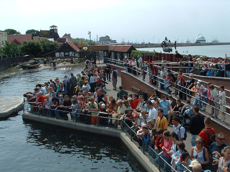 Seal Sanctuary in Hel