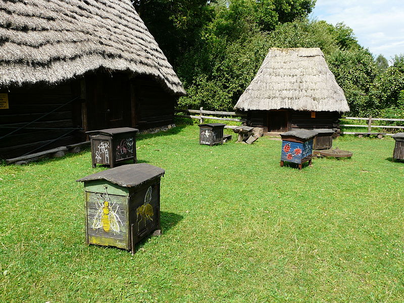 Parc régional de culture et de loisirs de Silésie
