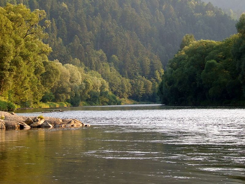 Garganta del río Dunajec