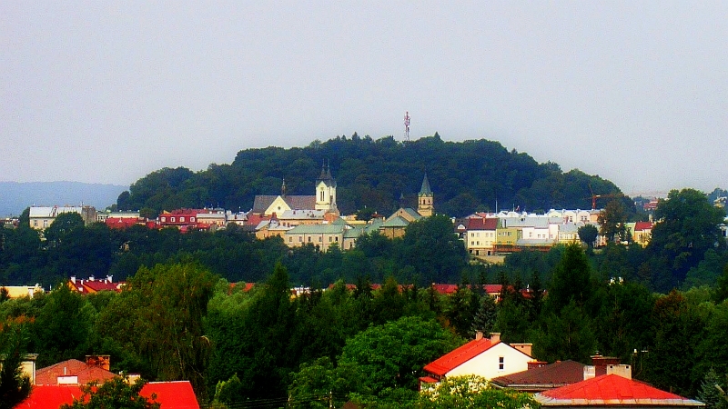 Park miejski im. Adama Mickiewicza