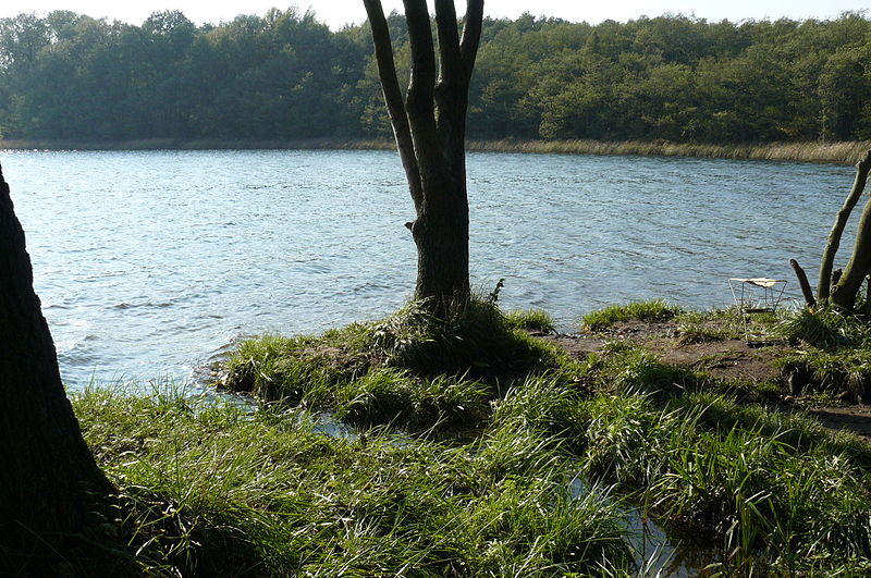Jezioro Strzeszyńskie