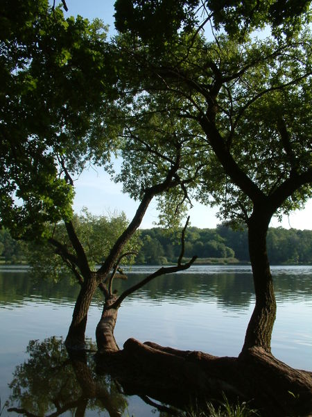 Jezioro Rusałka