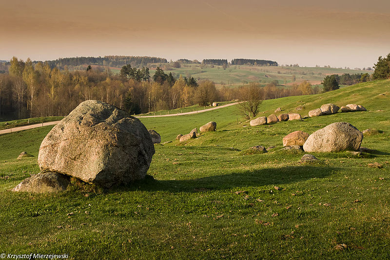 Rezerwat Głazowisko Łopuchowskie