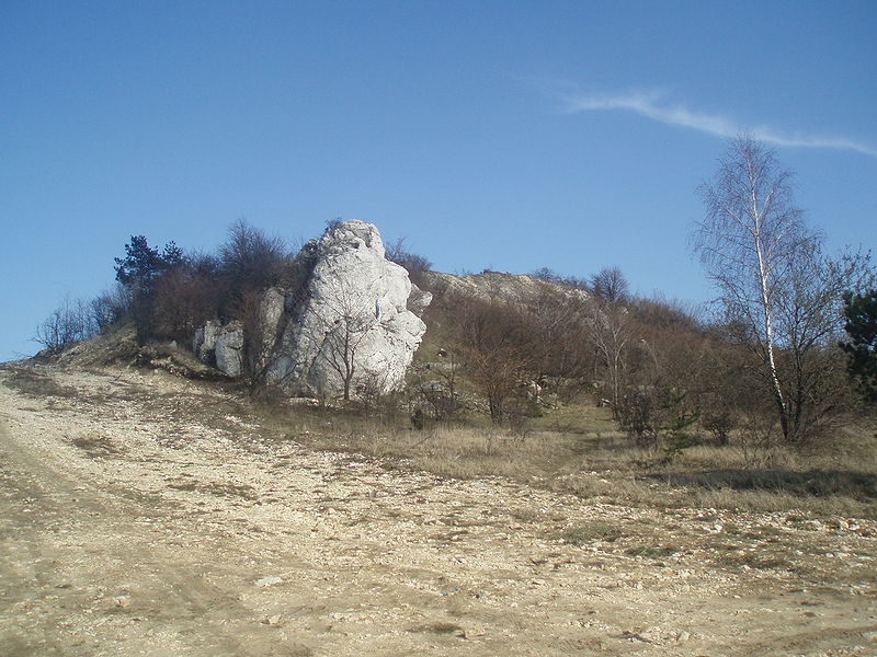 Góra Ossona