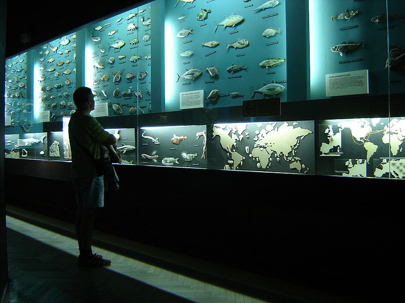 Aquarium Gdynia