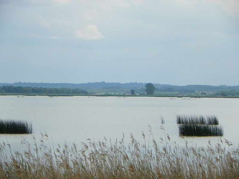 Lake Gardno