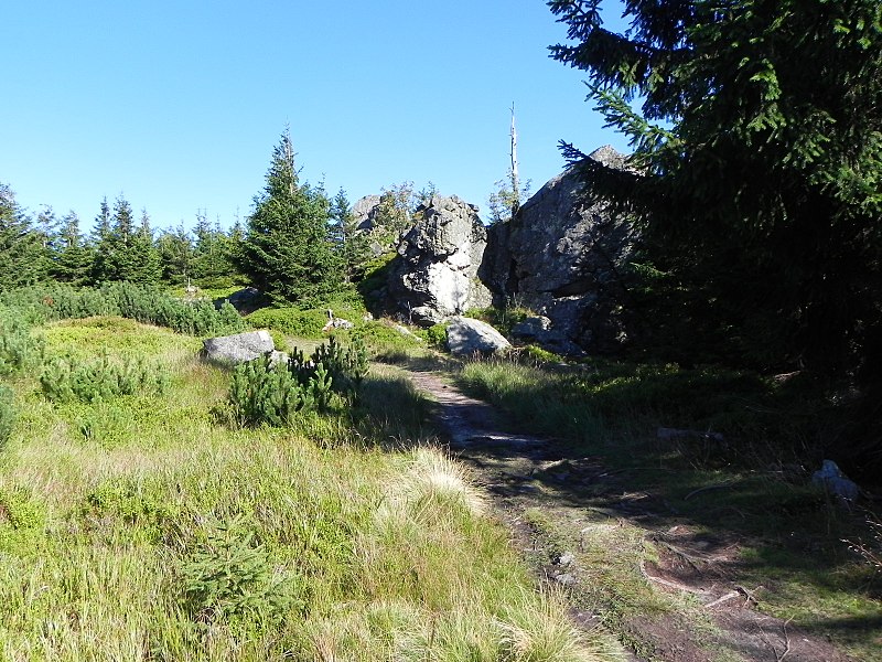 Sentier principal des Sudètes