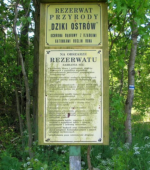 Rezerwat przyrody Dziki Ostrów