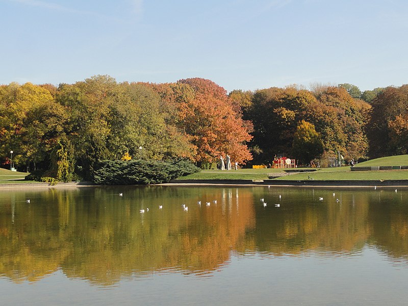 Mokotów Field