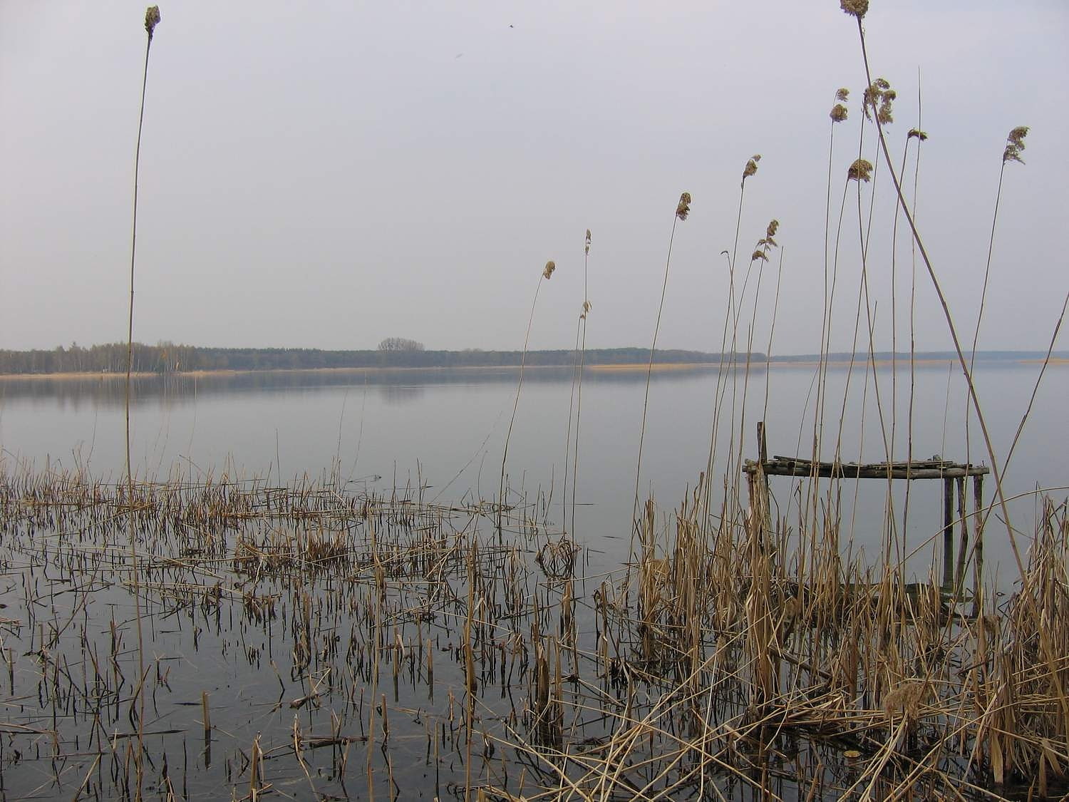 Parc naturel de Powidz, Pologne