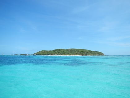 Isla Palomino