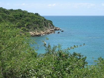 Bosque estatal de Guánica