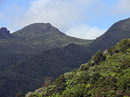 sierra de luquillo park narodowy el yunque