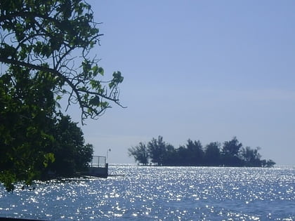 isla de ratones joyuda