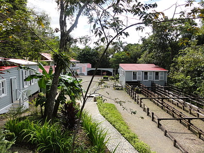 Museo Hacienda Buena Vista