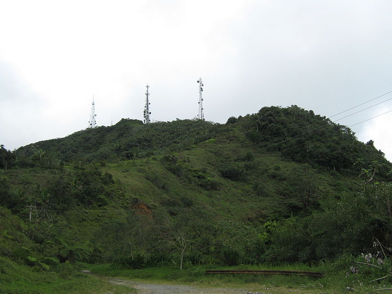 Toro Negro State Forest