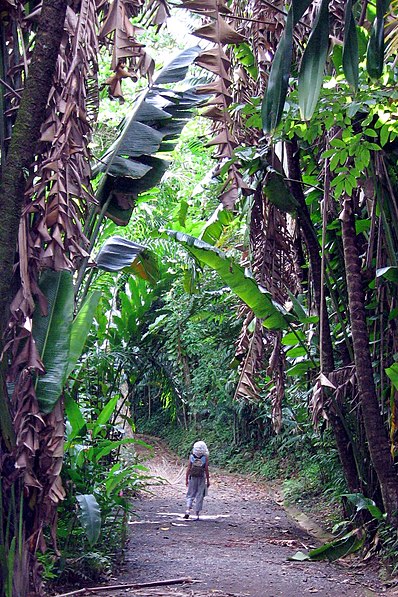 Jardín botánico de San Juan