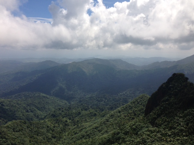 Bosque nacional El Yunque