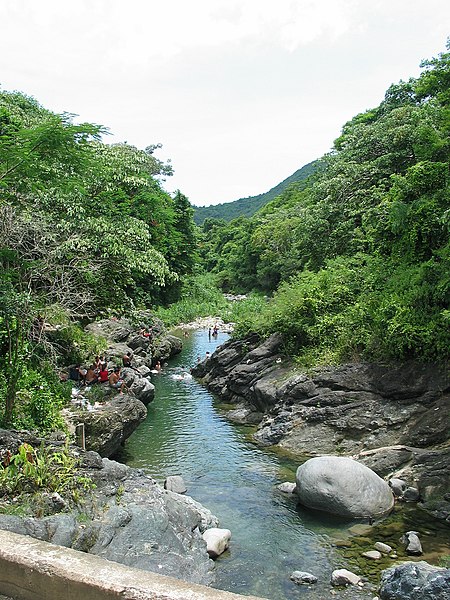 Bosque estatal de Toro Negro