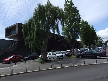 Université des Açores