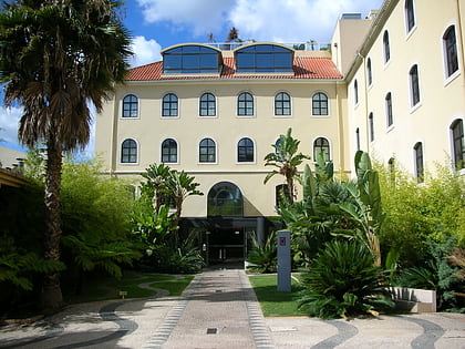 macau scientific and cultural centre museum lisbonne