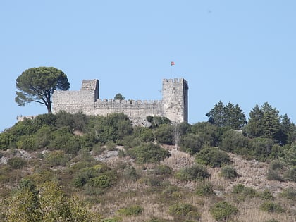 Castle of Alcanede