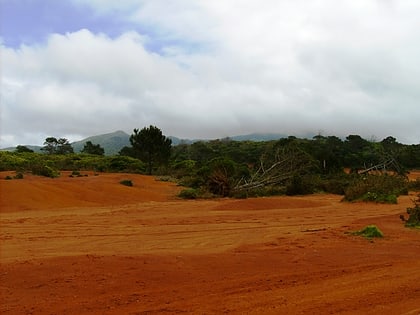 protected landscape of barreiro da faneca horta