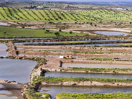 rezerwat naturalny castro marim and vila real de santo antonio marsh