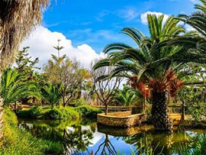 quinta das palmeiras mini zoo botanico porto santo