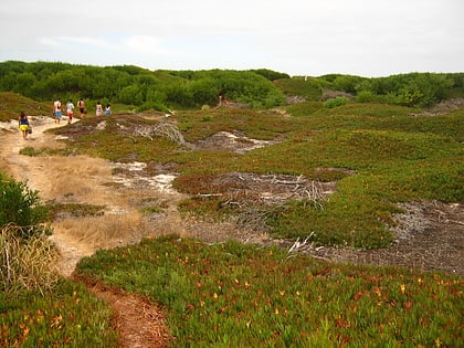 reserva natural de las dunas de san jacinto aveiro