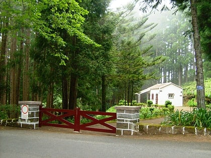 recreational forest reserve of fontinhas isla de santa maria