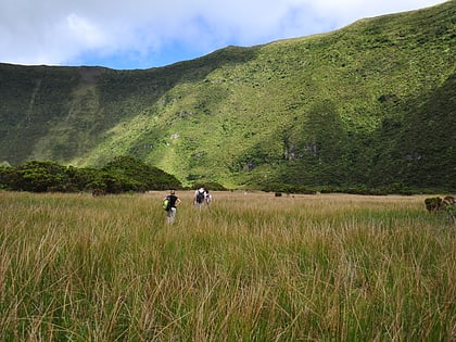 nature park of faial isla de fayal
