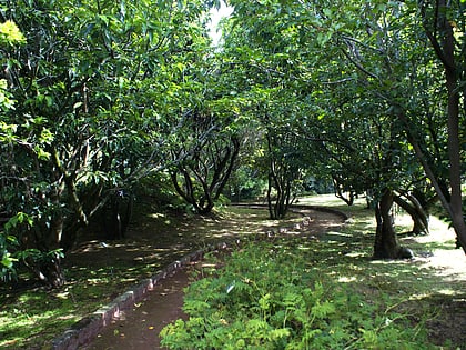 Botanical Garden of Faial