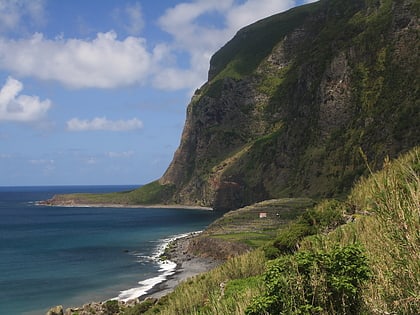 faja de lopo vaz isla de flores