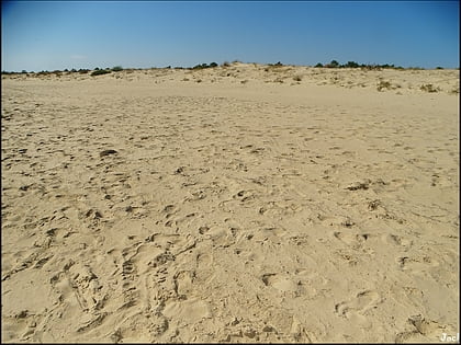 playa de santo antonio