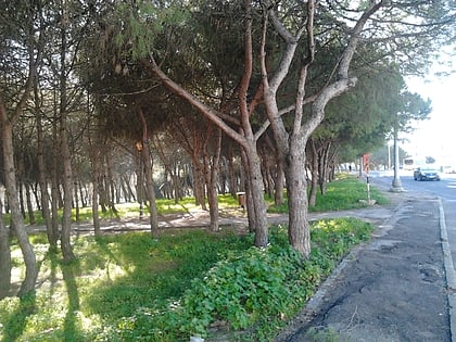 parque urbano do vale fundao lissabon