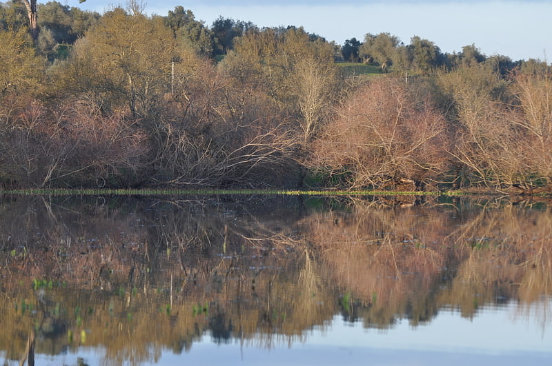 paul do boquilobo nature reserve boquilobo bog natural reserve