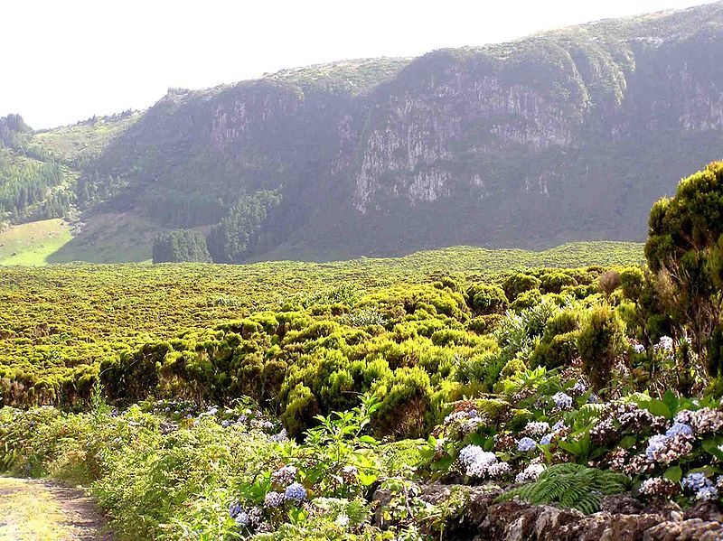 Nature Park of Terceira