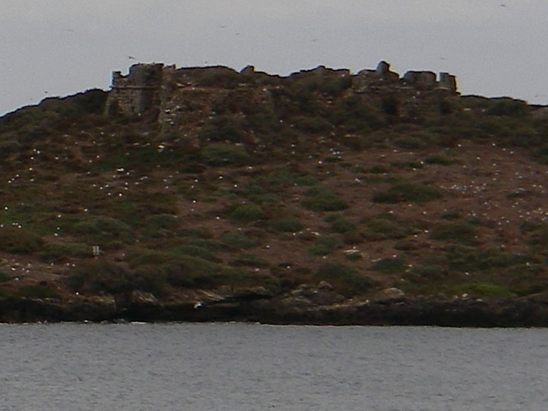 Pessegueiro Island