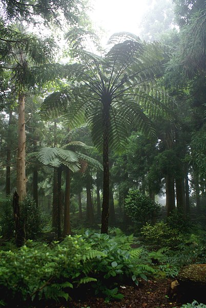 Reserva Florestal de Recreio das Sete Fontes